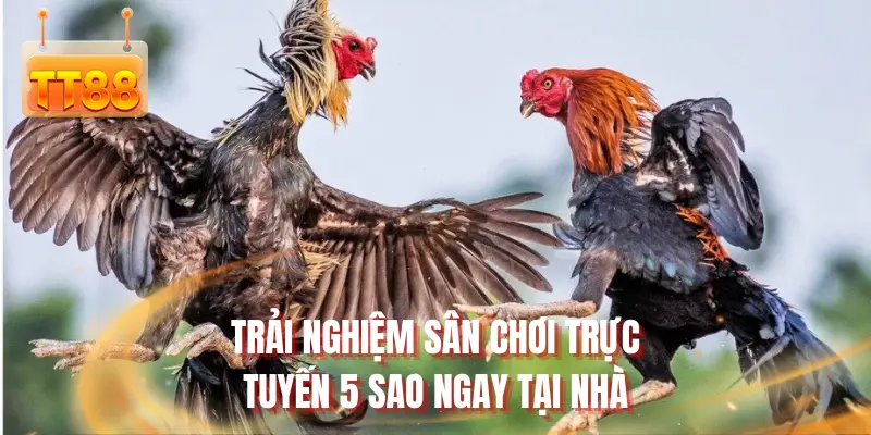Trải nghiệm sân chơi trực tuyến 5 sao ngay tại nhà